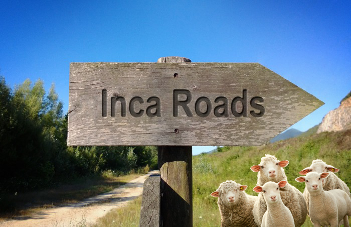 Inca Roads